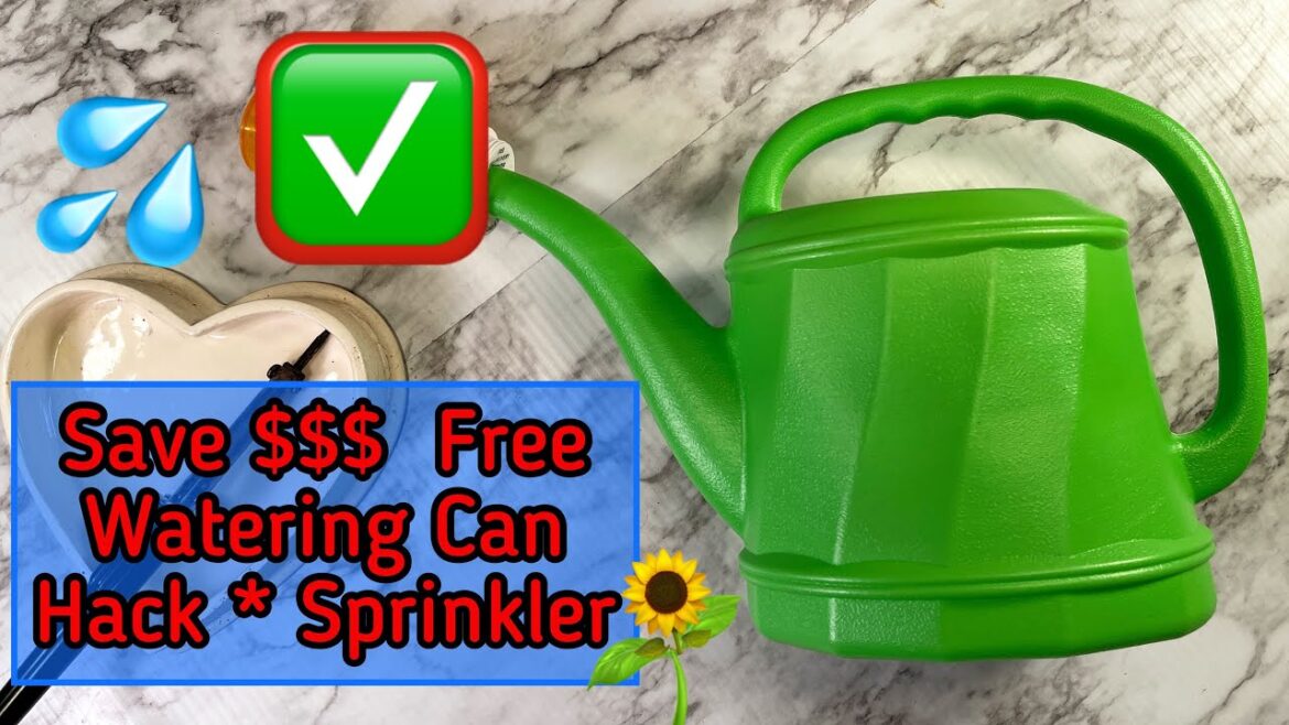 Free 99 cent Store Watering Can HACK for Seedlings Vegetable Garden & Seed Starting Indoor Plants