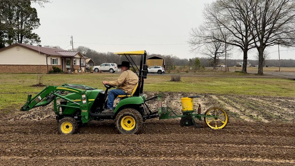 Johnny Kee Vegetable Garden