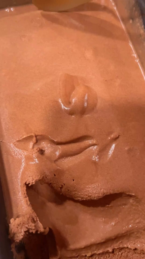 Sous Vide Chocolate Ice Cream! 🍨