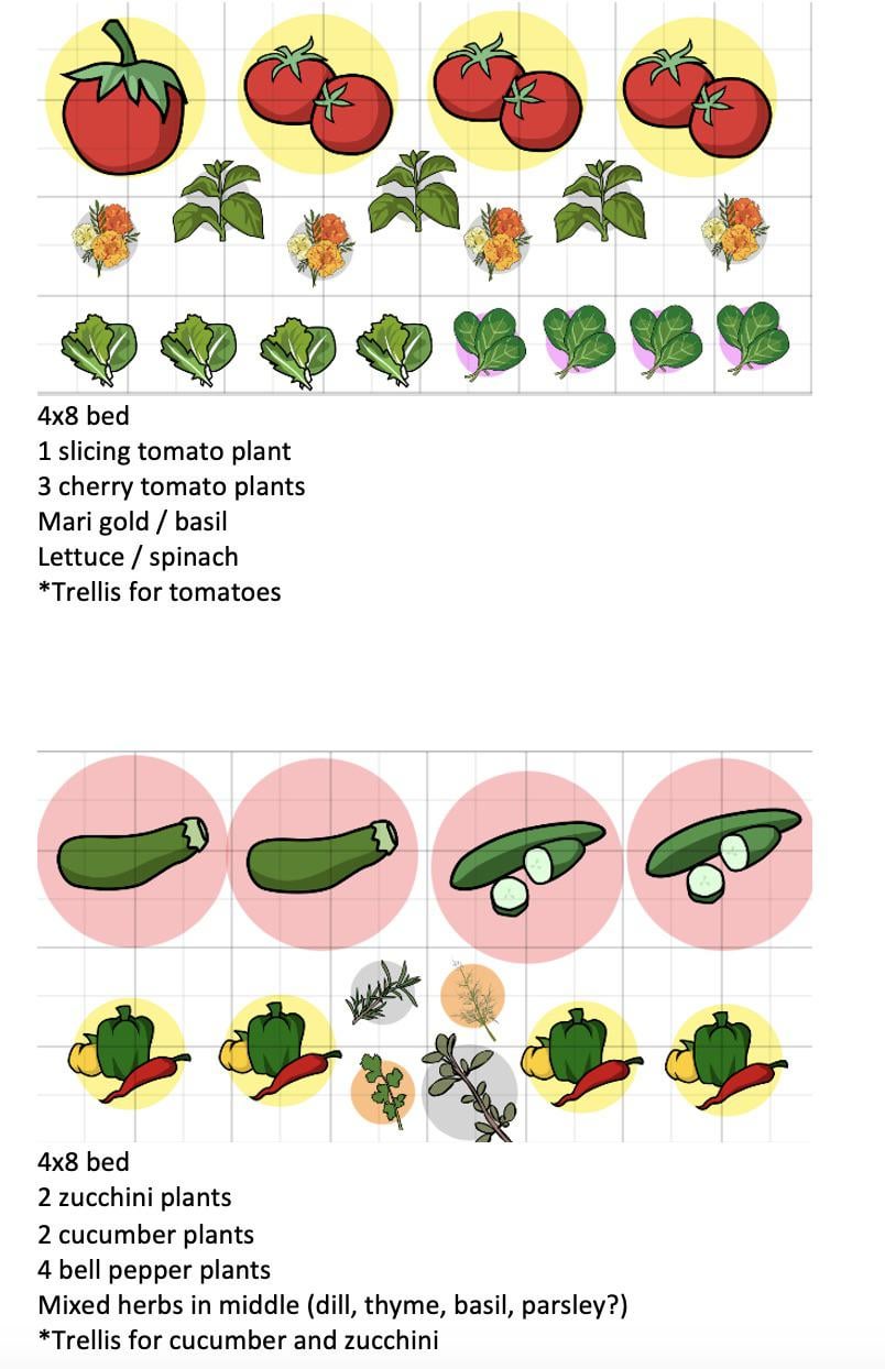Advice for first time gardener on garden plan - Dining and Cooking