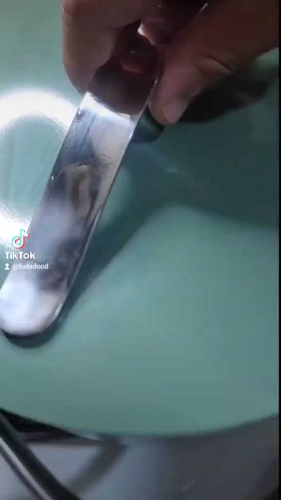 Korean/Indian making momma's Kimchi Jjigae. Let me know how I did! 😬