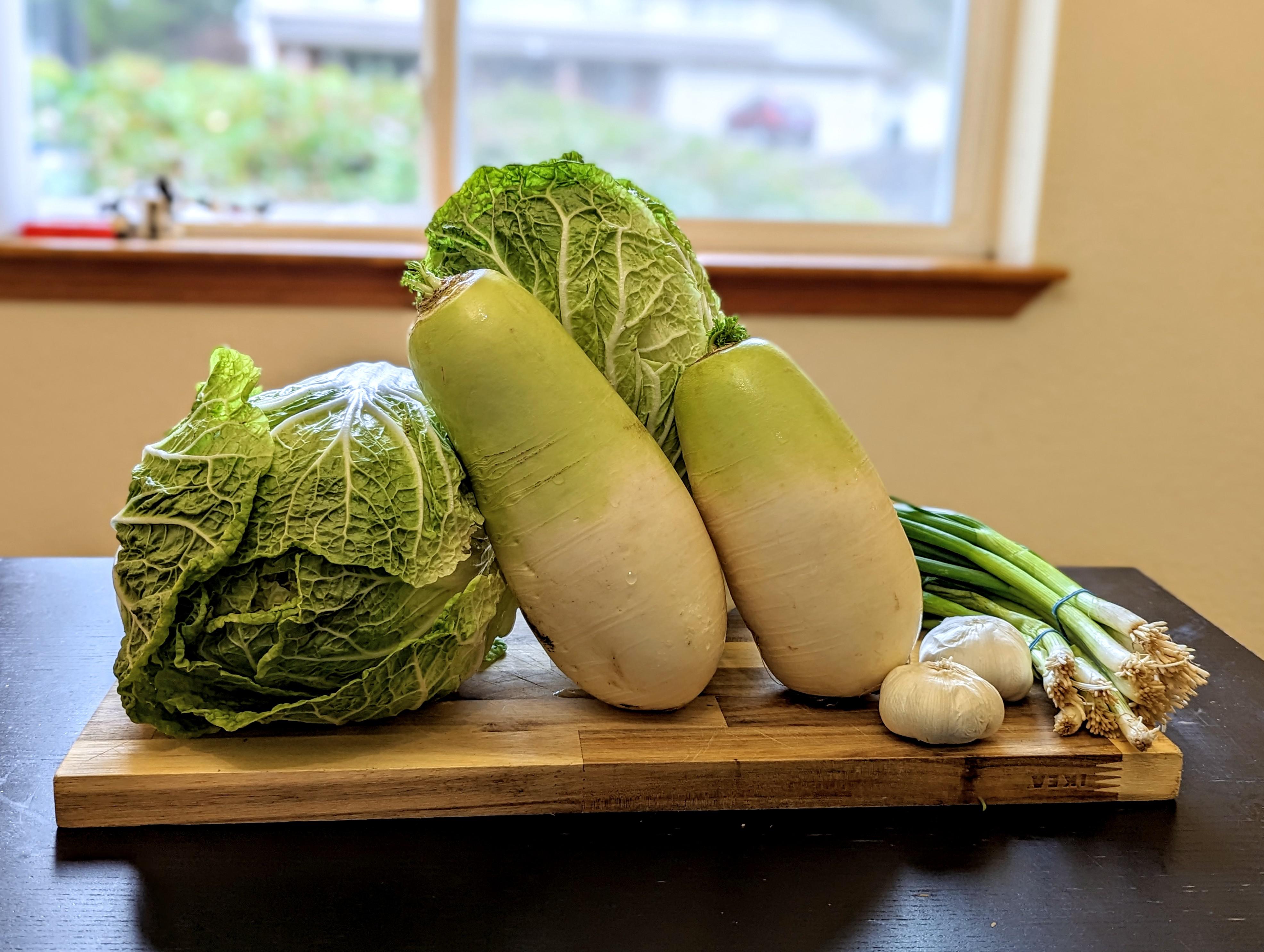 Making three types of kimchi today. 배추 김치 (Napa cabbage kimchi), 깍두기
