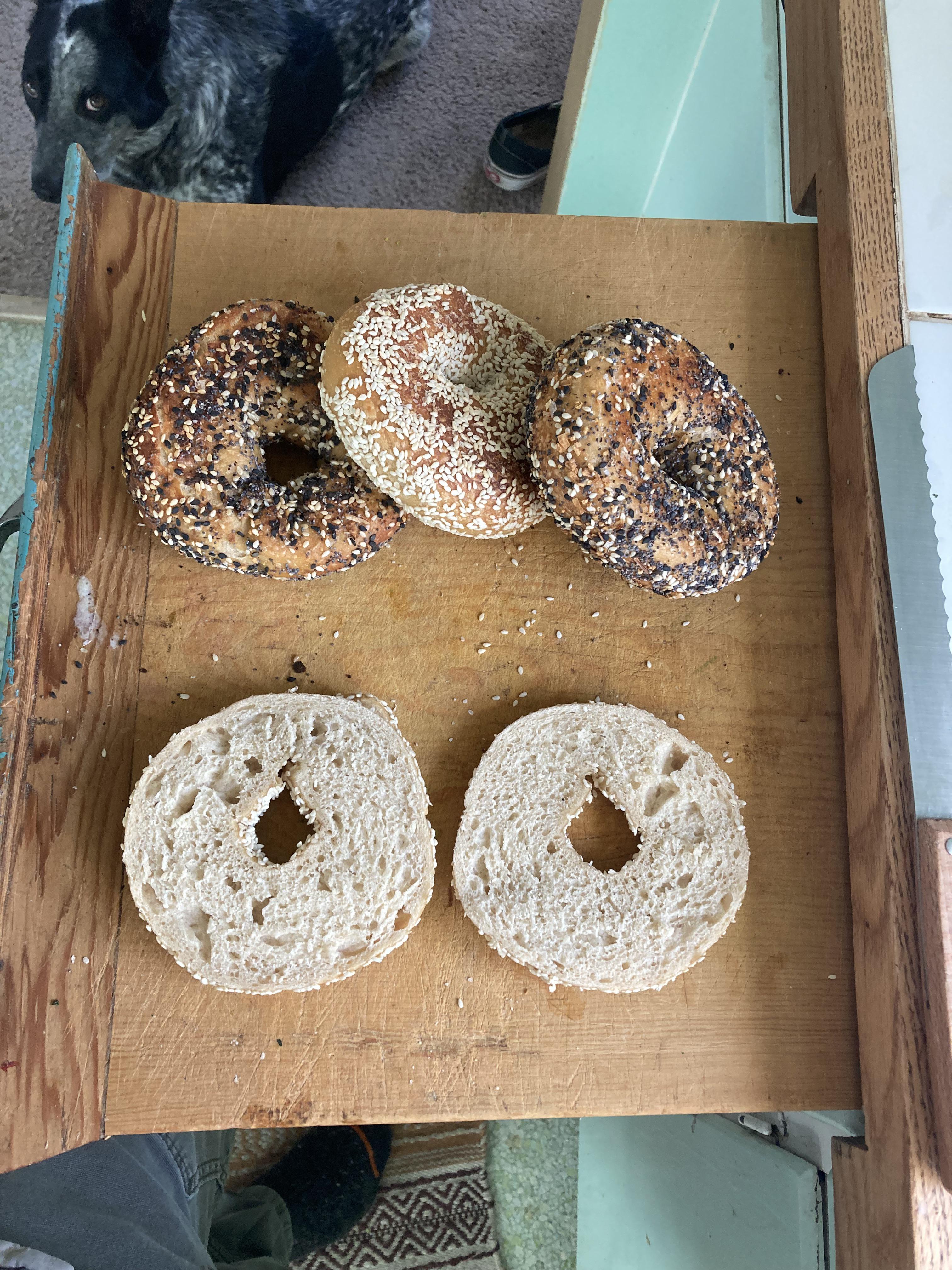 Wood fired bagels I baked and also dropped on the floor Dining and