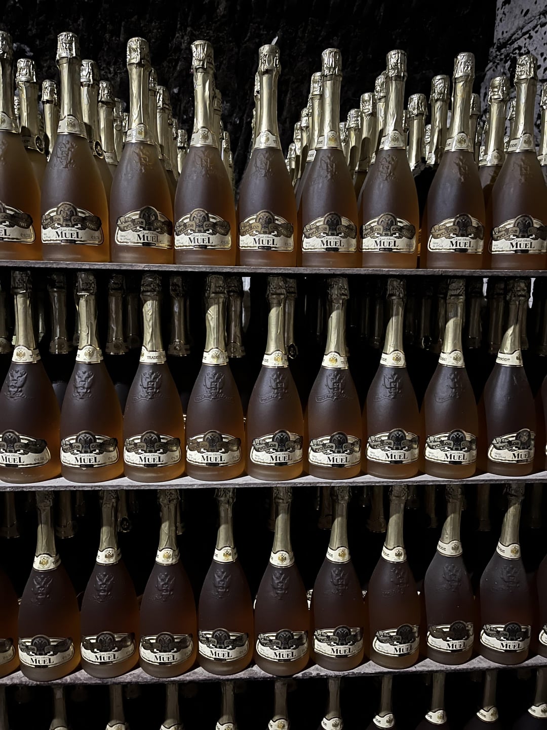 Got to visit some of the largest wine collections in the world, located