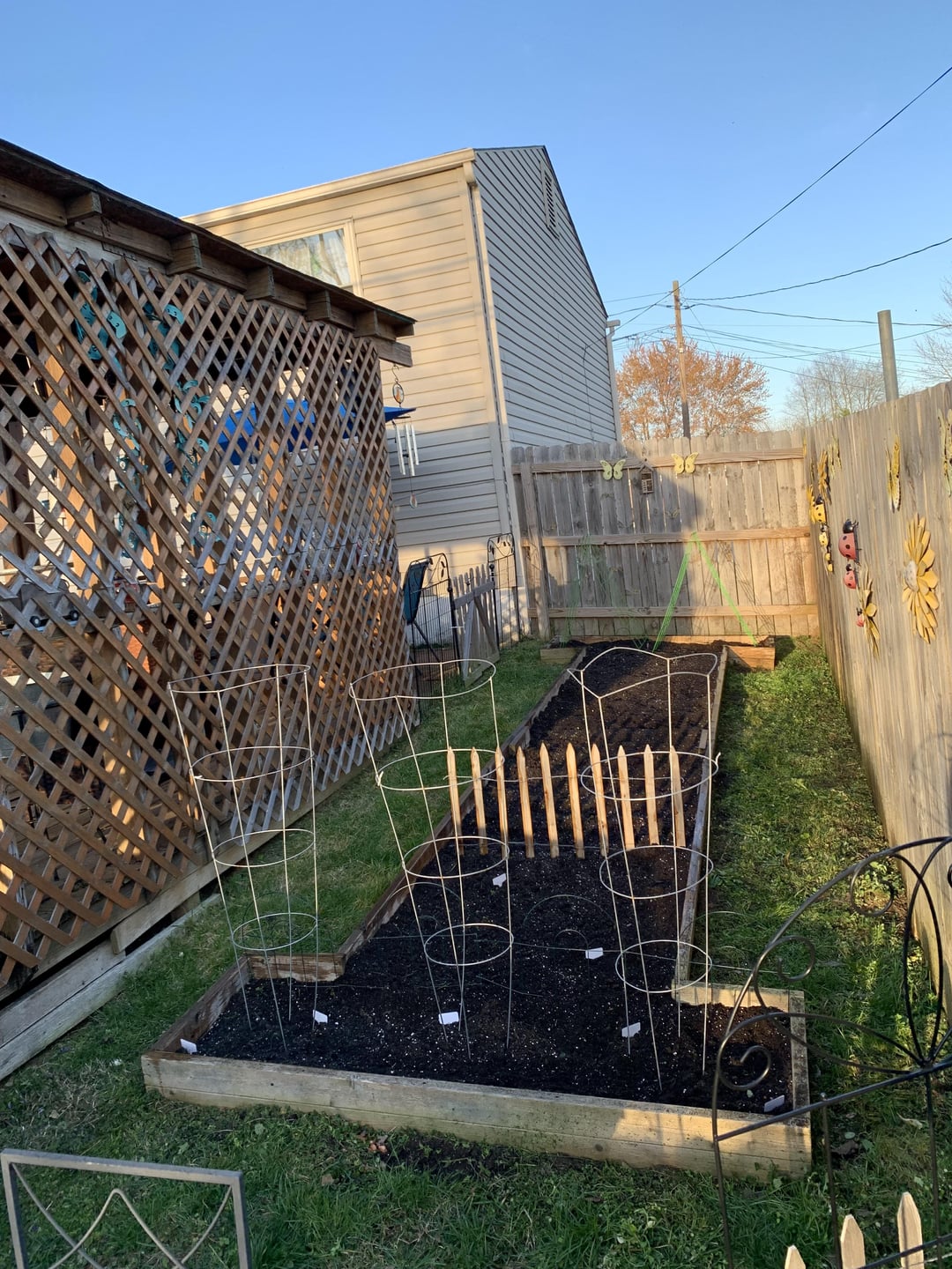 4x20 garden area. Today I direct sowed my lettuce and spinach