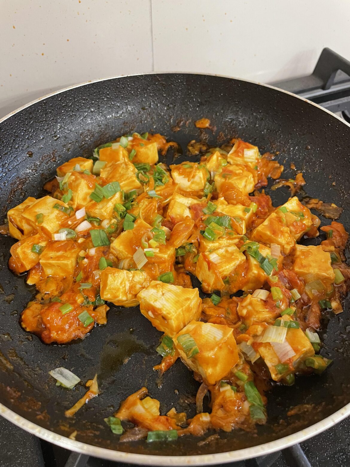 made some desi tofu! second week of being a vegetarian!