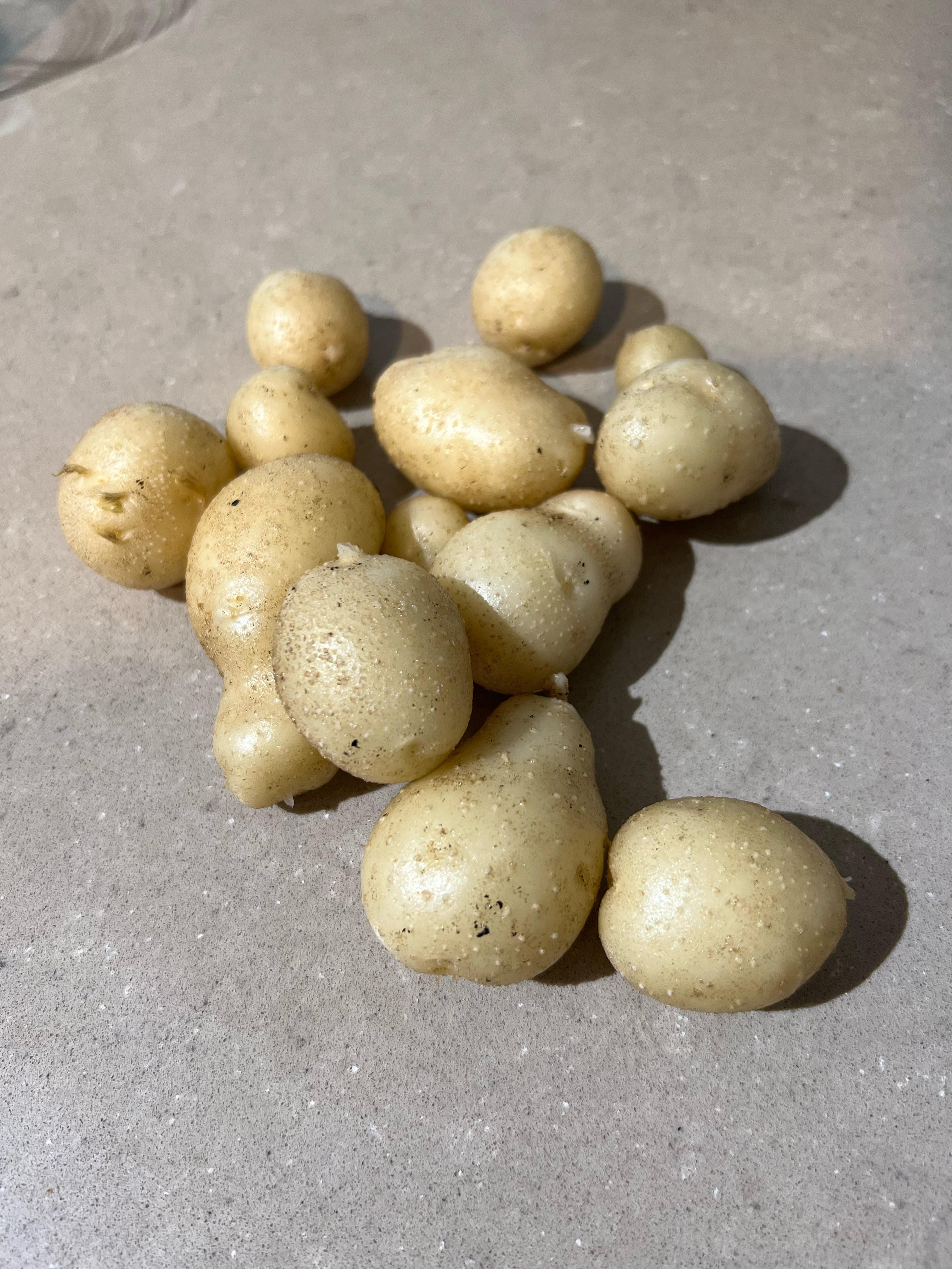 Potatoes safe to eat? Dining and Cooking