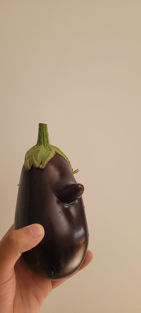 pulled out an intresting Eggplant from my garden