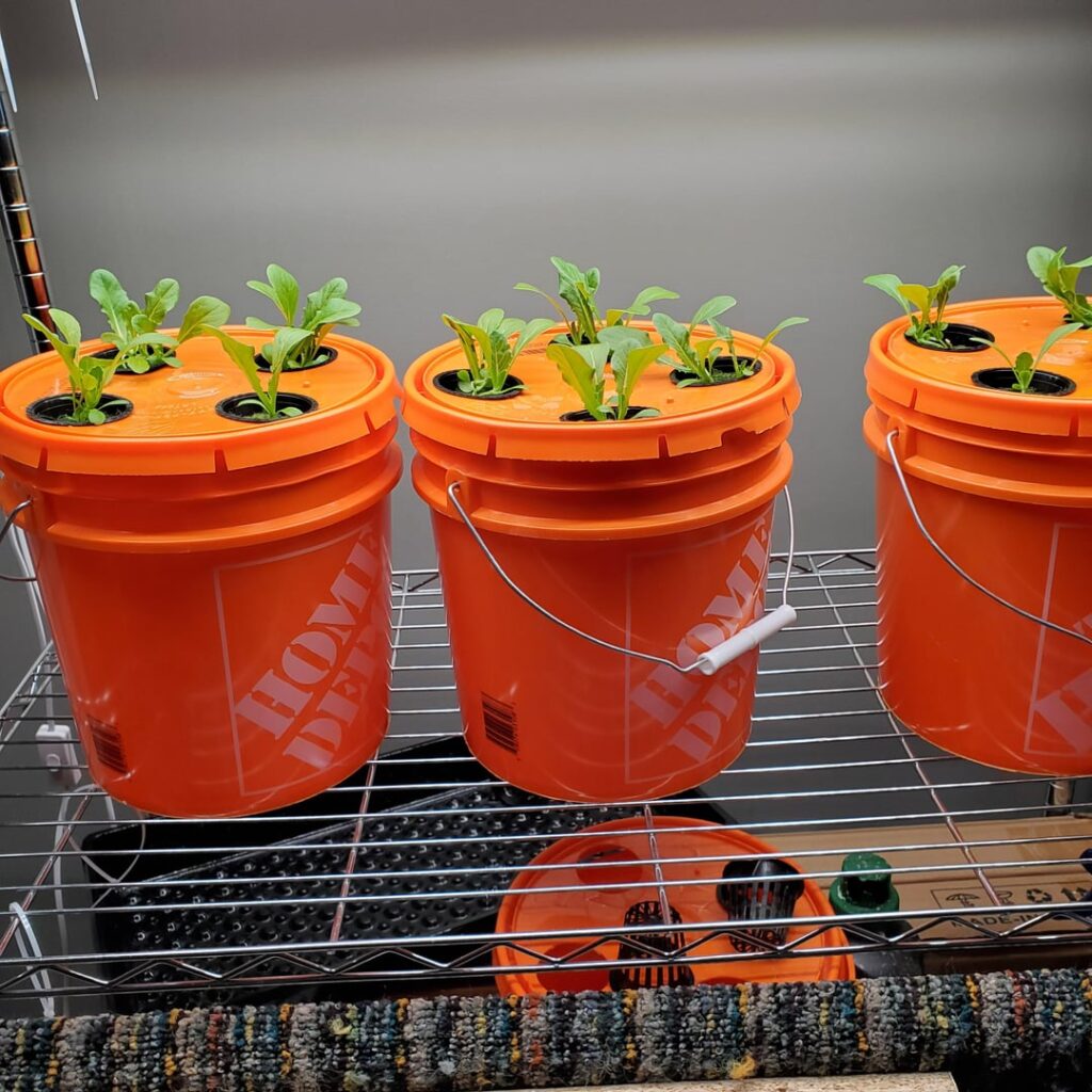 Growing lettuce inside while this is happening outside in northern Ontario, Canada.