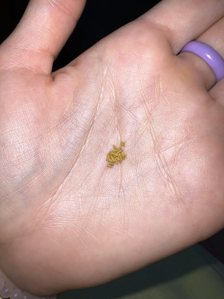 Help! What is this herb / tea?