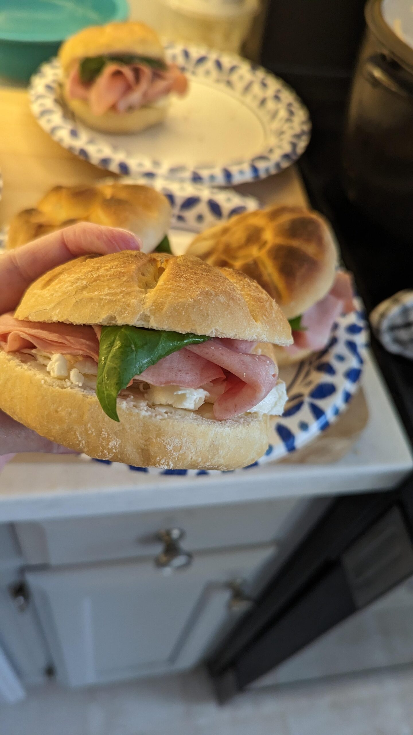Homemade rosette with Mortadella, fresh mozzarella, and basil Dining