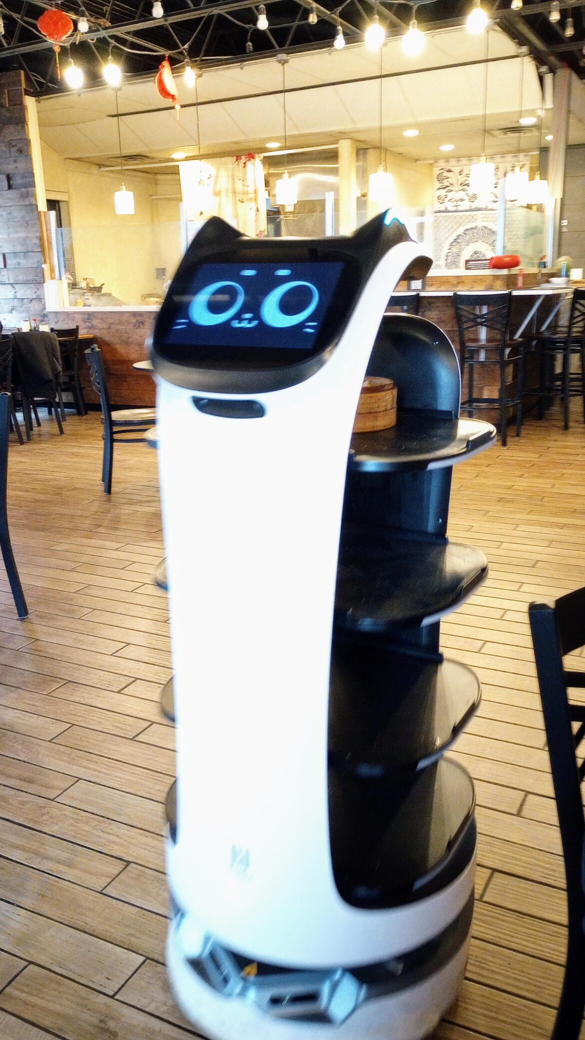 Robot waiter at Noodle Topia in Madison Heights
