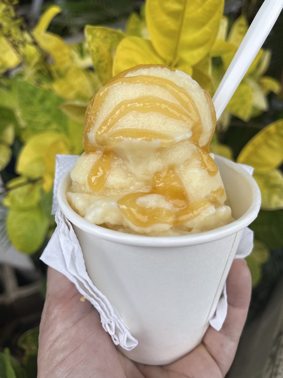 Piña colada shave ice with local Hawaiian honey