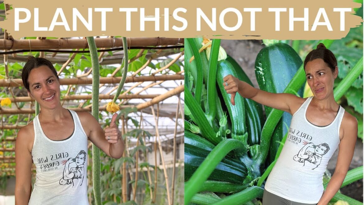 10 Unusual Tropical Vegetables That Grow Great: Easy Florida Gardening