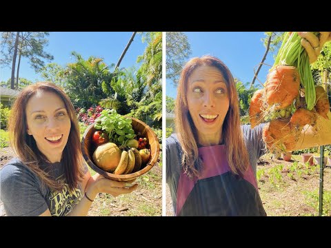 The Best Vegetables for an April Florida Vegetable Garden! The Best Vegetables for an April Florida Vegetable Garden!