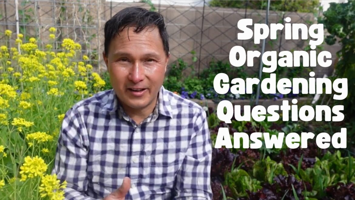 Answering Your Spring Organic Vegetable Gardening Questions Answering Your Spring Organic Vegetable Gardening Questions