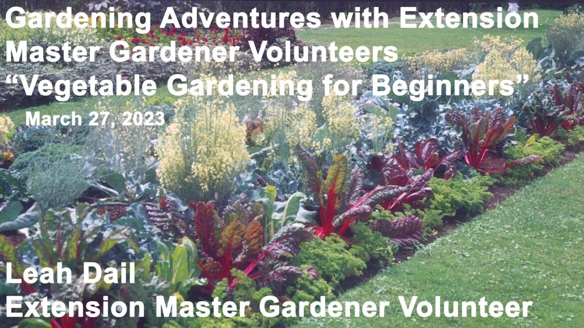 Master Gardener Lecture – “Vegetable Gardening for Beginners” Master Gardener Lecture - "Vegetable Gardening for Beginners"