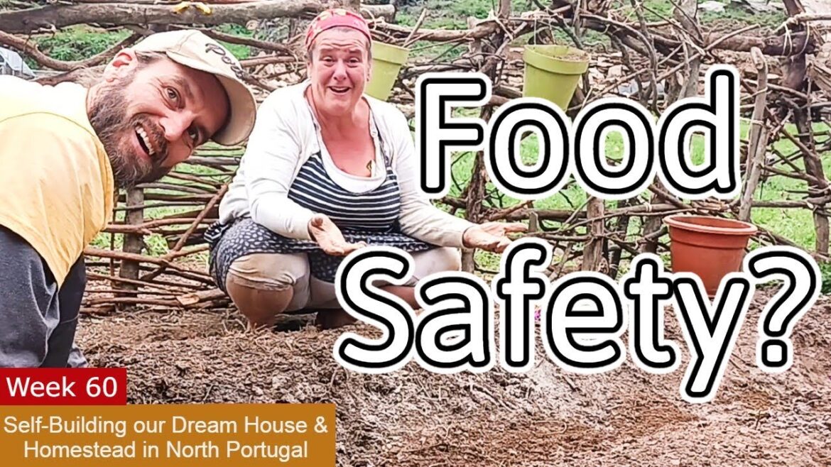 Starting a Vegetable Garden on Our Portuguese Homestead - Huge for us & future business