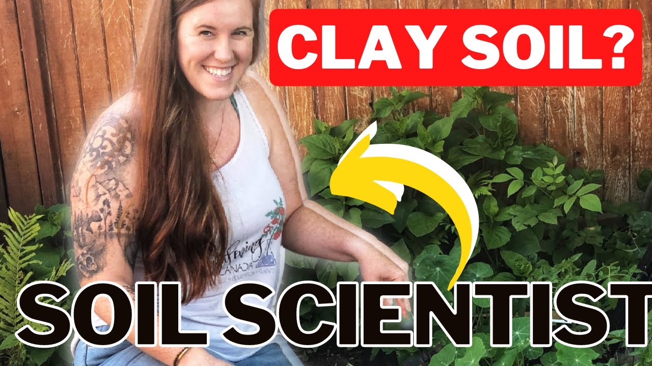 HOW TO FIX CLAY SOIL FOR A VEGETABLE GARDEN? A SOIL SCIENTISTS TRICK & TIPS Gardening in