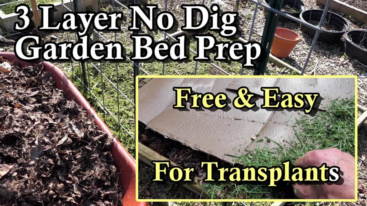 3 Layer 'No Dig' Garden Bed Prep Method: Weed, Mulch, & Feed all At Once - Perfect for Transplants