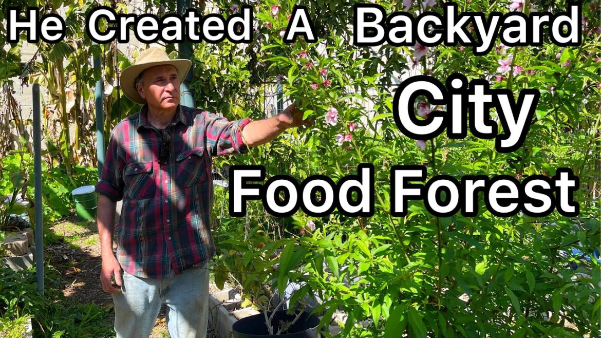 TIPS on Raised Bed Gardening GROW Vegetables in Kiddie Pools, Totes, in Ground & Container Garden