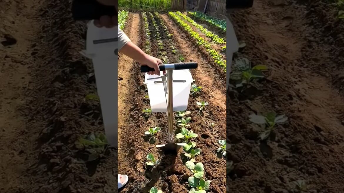 Fertilizer tools for vegetable garden #gardening G4451