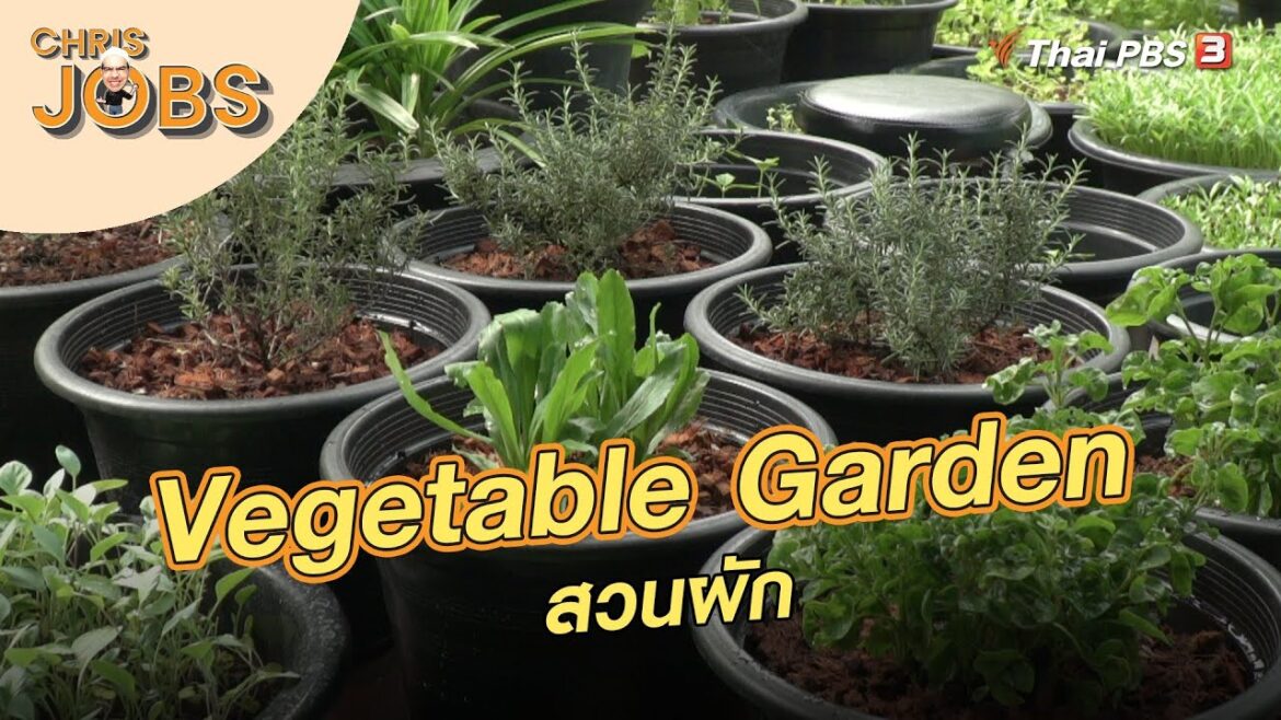 Vegetable Garden | Chris Jobs