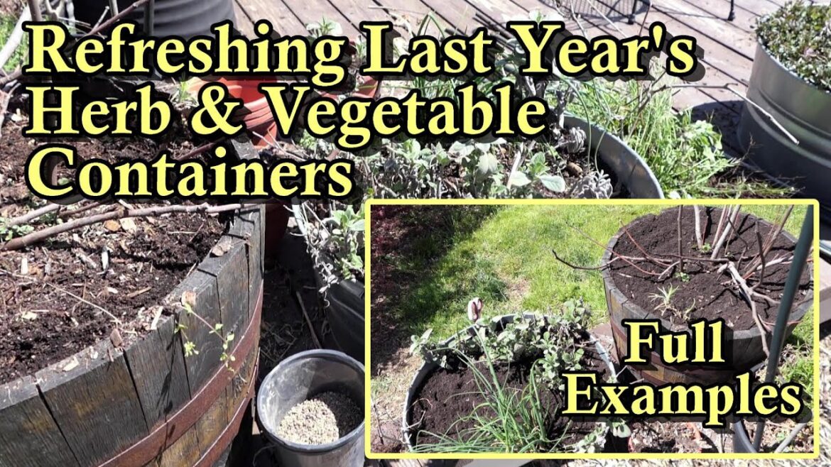 How to Fertilize/Refresh Last Year's Herb, Flower, and Vegetable Containers in the Spring: Examples