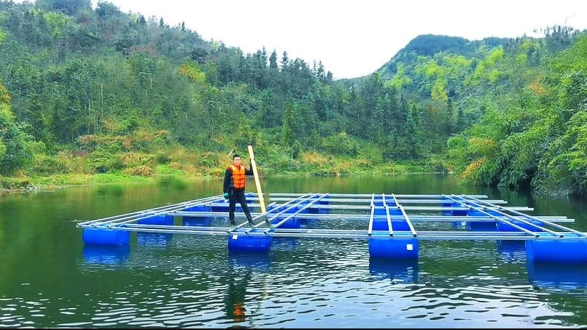 I am going to build a water vegetable garden!【Water Dweller】 I am going to build a water vegetable garden!【Water Dweller】