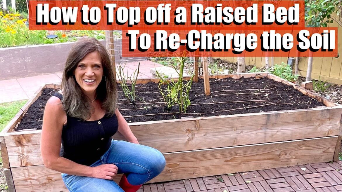 How to Top off Raised Bed Soil to Re-Charge it for Your Spring Vegetable Garden in 5 Easy Steps How to Top off Raised Bed Soil to Re-Charge it for Your Spring Vegetable Garden in 5 Easy Steps