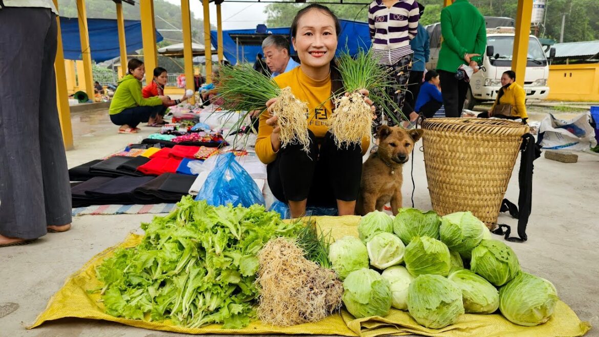 Harvesting Vegetable Garden Goes to the market sell - Make pig food | Ly Thi Tam