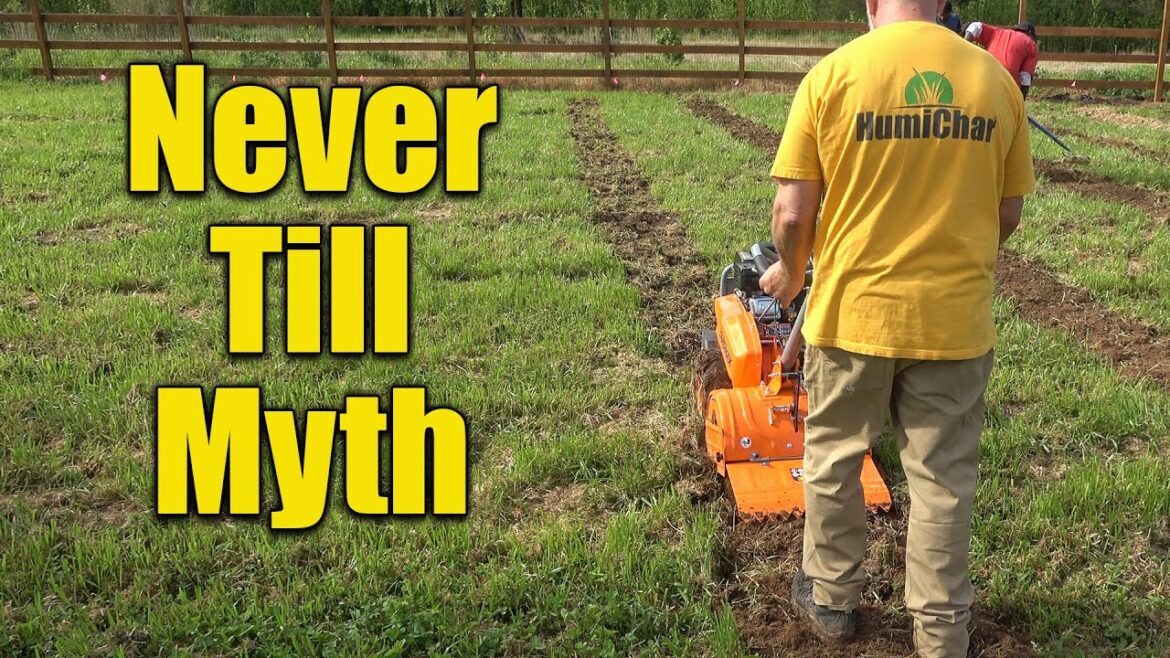 How to Plant Vegetable Garden Making Great Soil