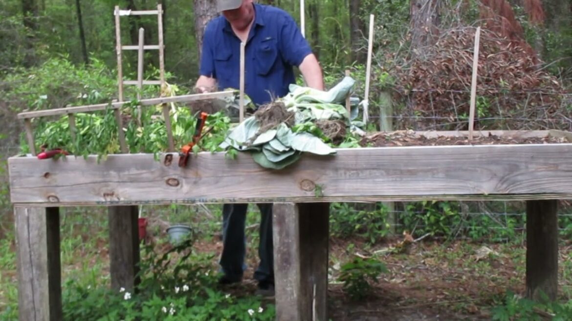 Raised bed vegetable garden. 1 year update. Spring planting, North Florida.