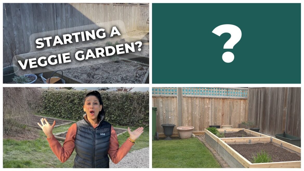 4 Different Ways to Start a Vegetable Garden