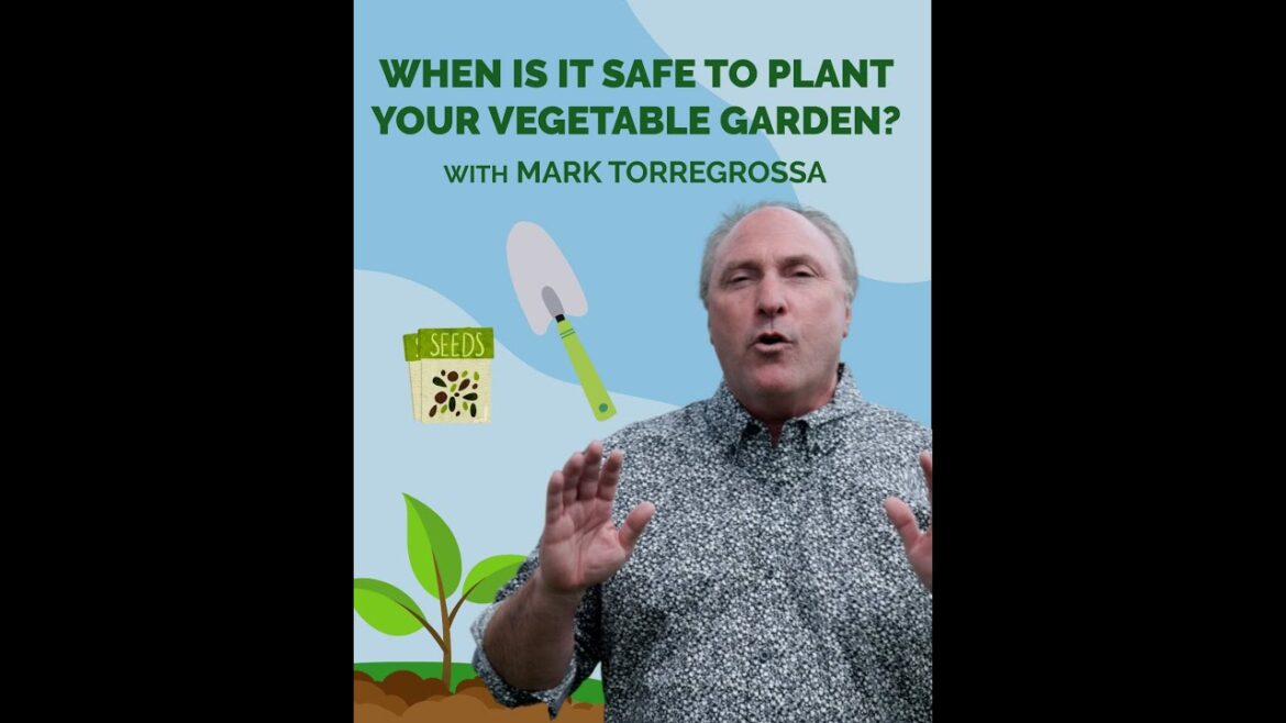 When is it safe to plant your vegetable garden in Michigan?