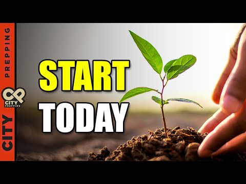 12 Vegetables You Need To Plant In April 2023 12 Vegetables You Need To Plant In April 2023