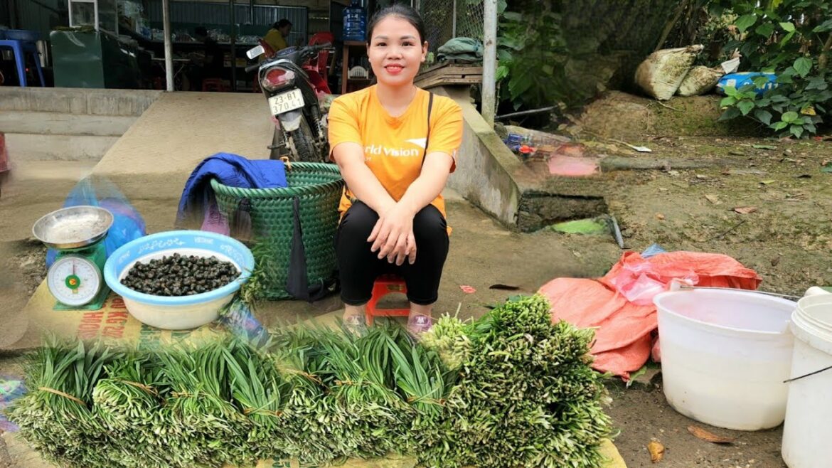 Harvest Vegetable Garden & Snail Bring To Market For Sale | Hà Tòn Chài