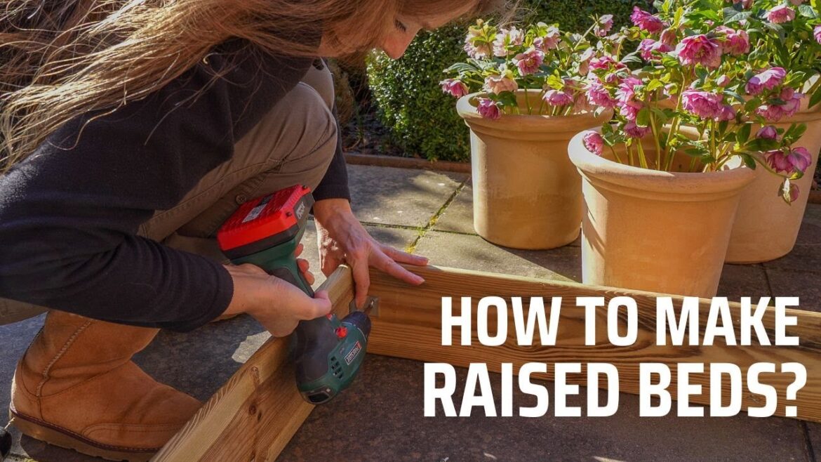 Making raised beds Low budget Vegetable garden make-over Ep3 What a difference! Female DIY Making raised beds Low budget Vegetable garden make-over Ep3 What a difference! Female DIY