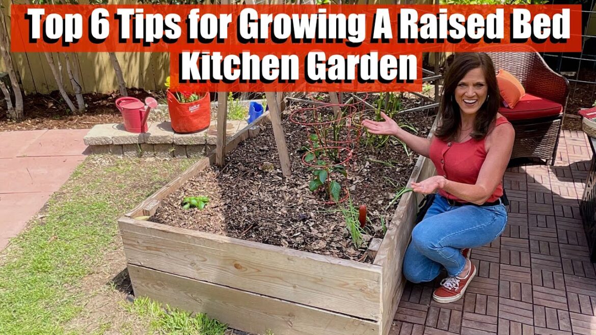 Top 6 Tips to Grow Lots of Vegetables a Raised Bed Kitchen Garden Top 6 Tips to Grow Lots of Vegetables a Raised Bed Kitchen Garden