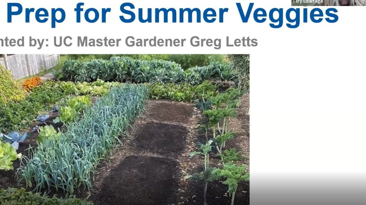 Seasonal Prep for Your Home Vegetable Garden: A UC Master Gardener Webinar