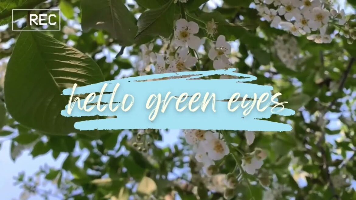 Starting a raised bed fruit & vegetable garden #raisedbedgarden #garden #sunscreen #perfume