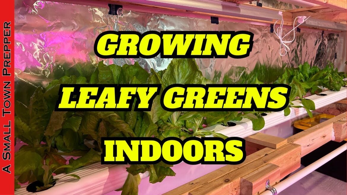 DIY Hydroponic Vegetable Gardening for Beginners: Simple Indoor NFT System For Leafy Greens & Herbs