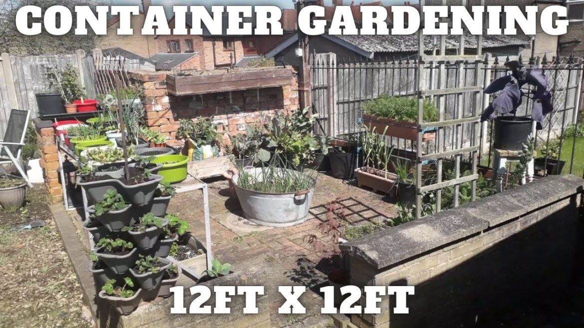 Container Gardening 12ft By 12ft [Gardening Allotment UK] [Grow Vegetables At Home ]