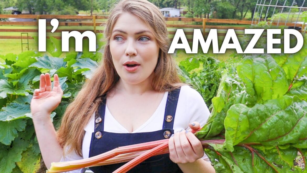 Huge Spring Harvest ALREADY!? Spring Vegetable Garden 2023 l Zone 9B