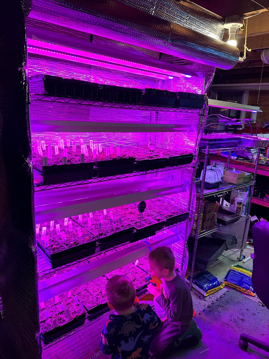 Raised beds are filled and resting, Seedlings are growing, Containers