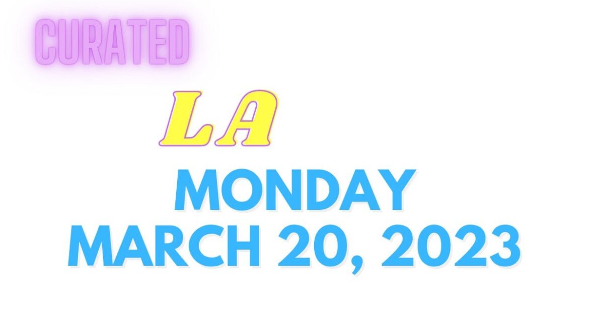 Irv's Burgers expands