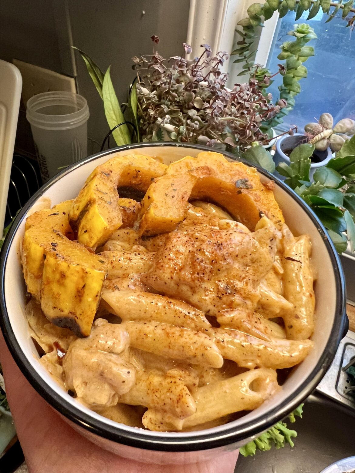 Serious Eats’ delicata squash recipe with my own Cajun Alfredo Chicken pasta