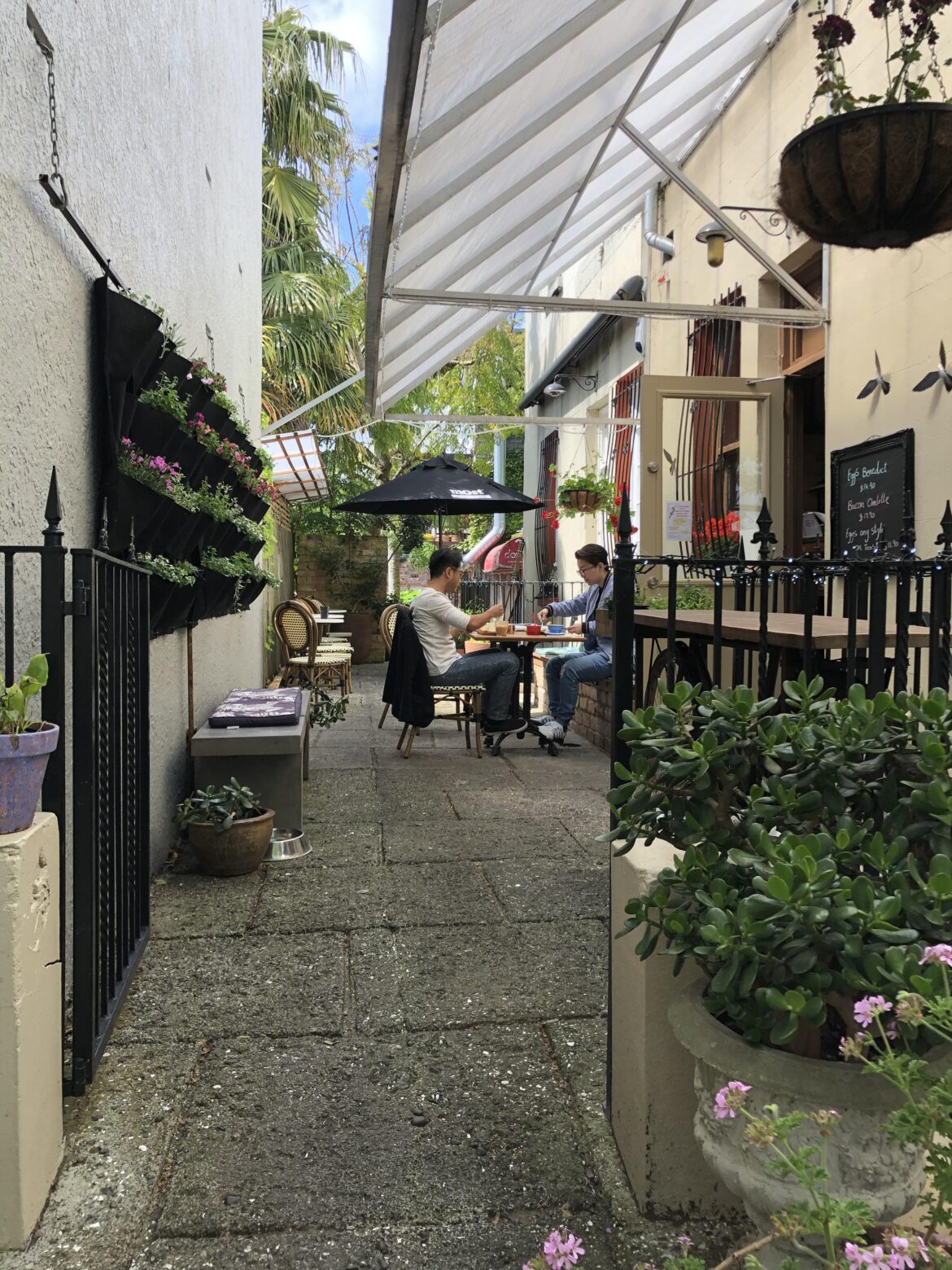 Little Garden, Ponosnby, New Zealnd