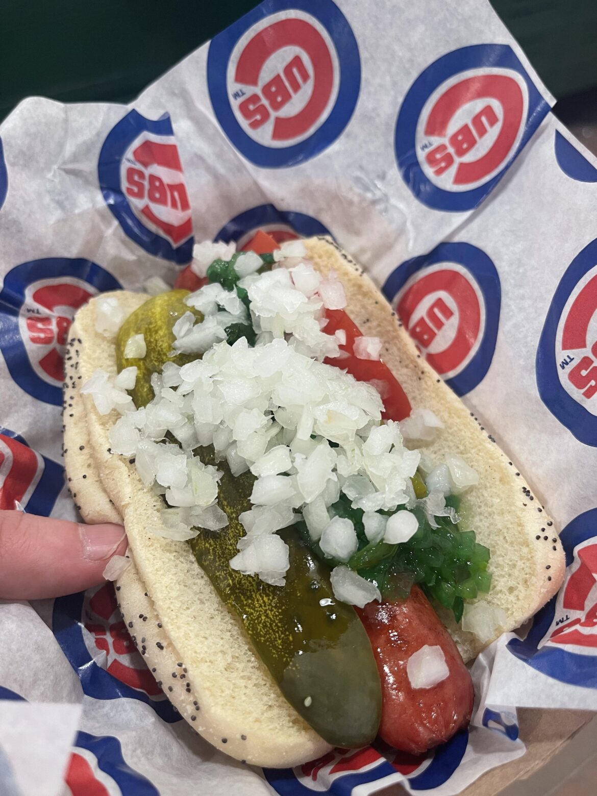 Hot dog at Wrigley Field