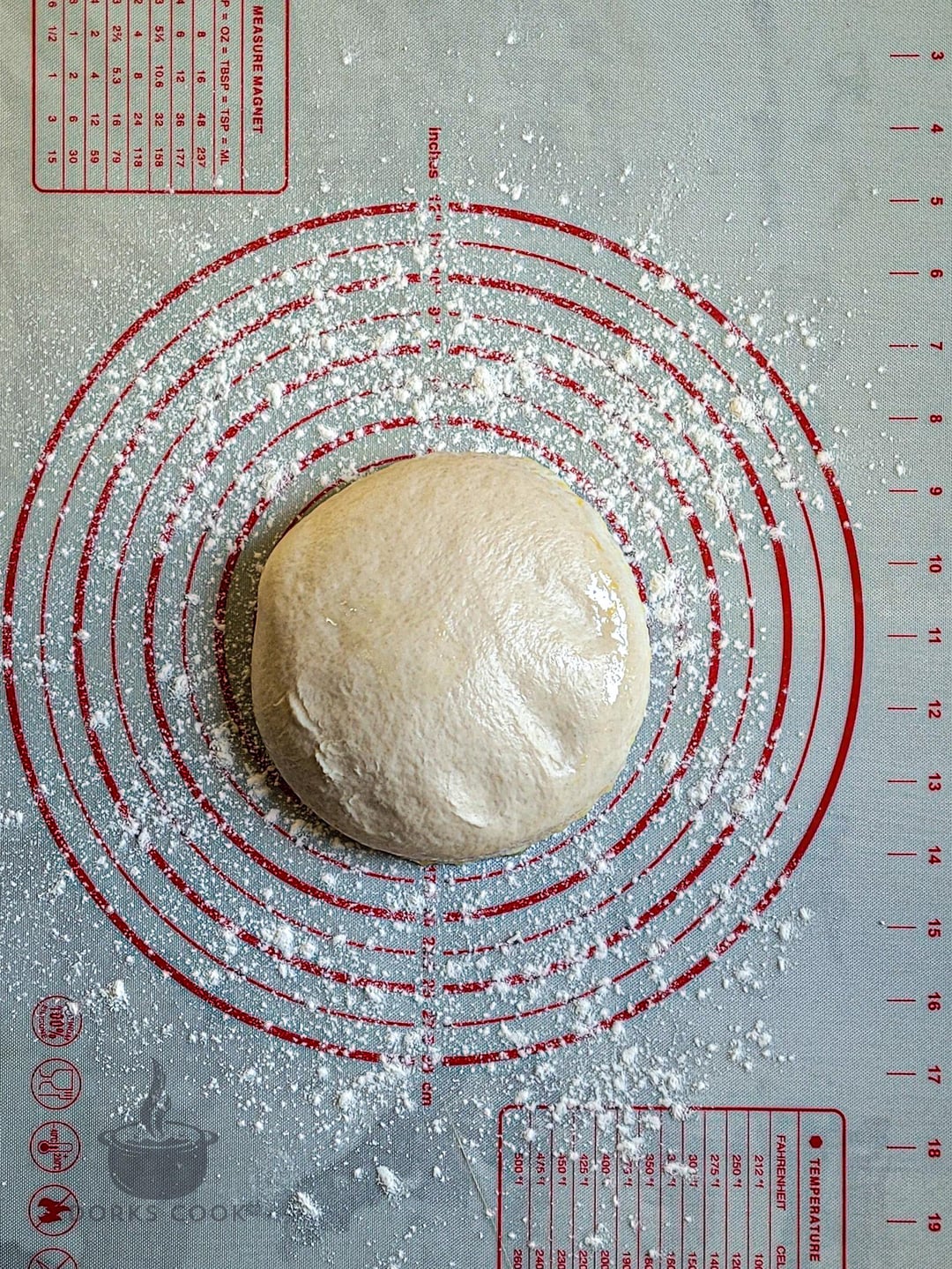 Dough experiment 48 hours Dining and Cooking